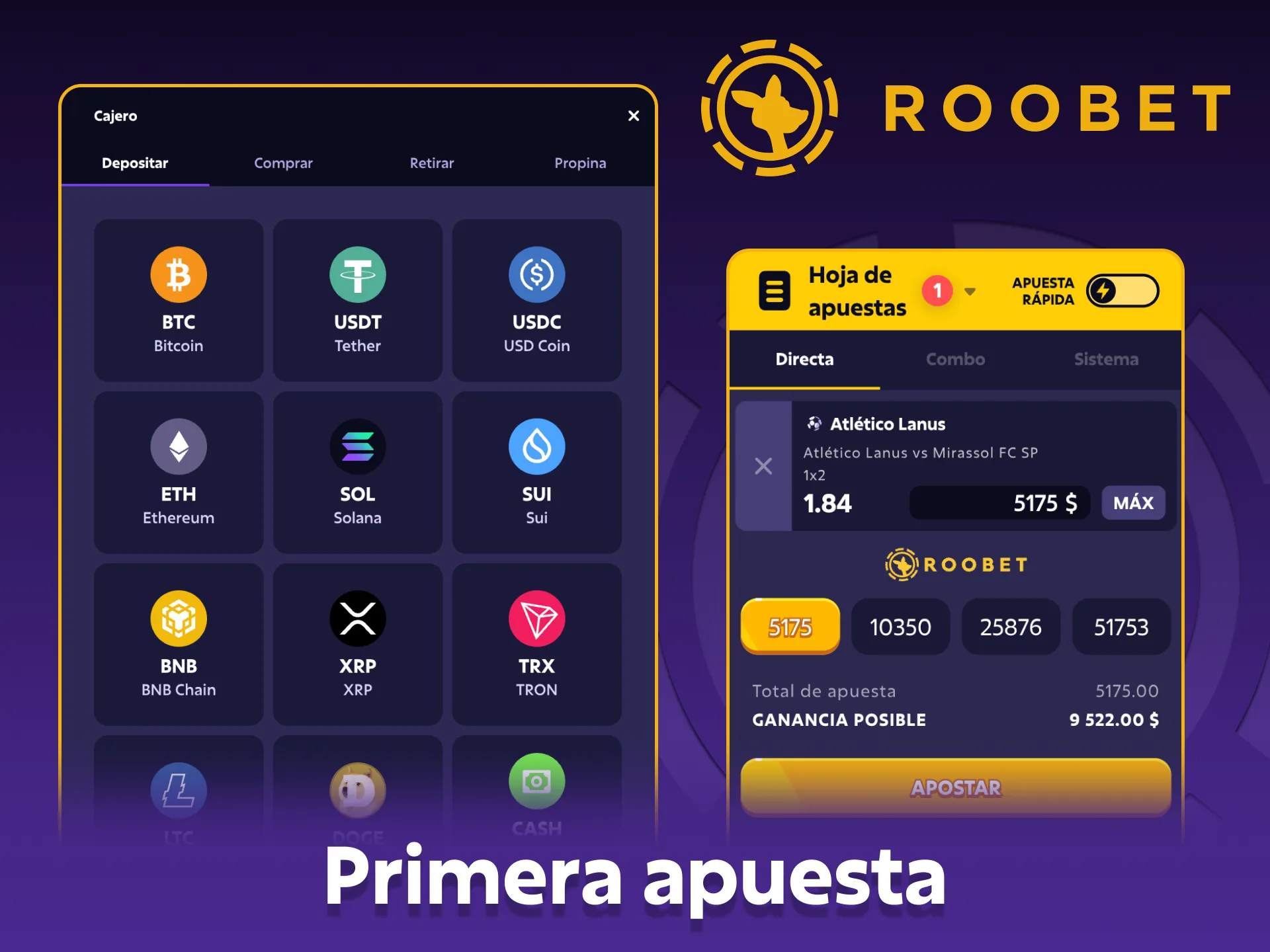 Aprende cómo realizar tu primera apuesta en Roobet.