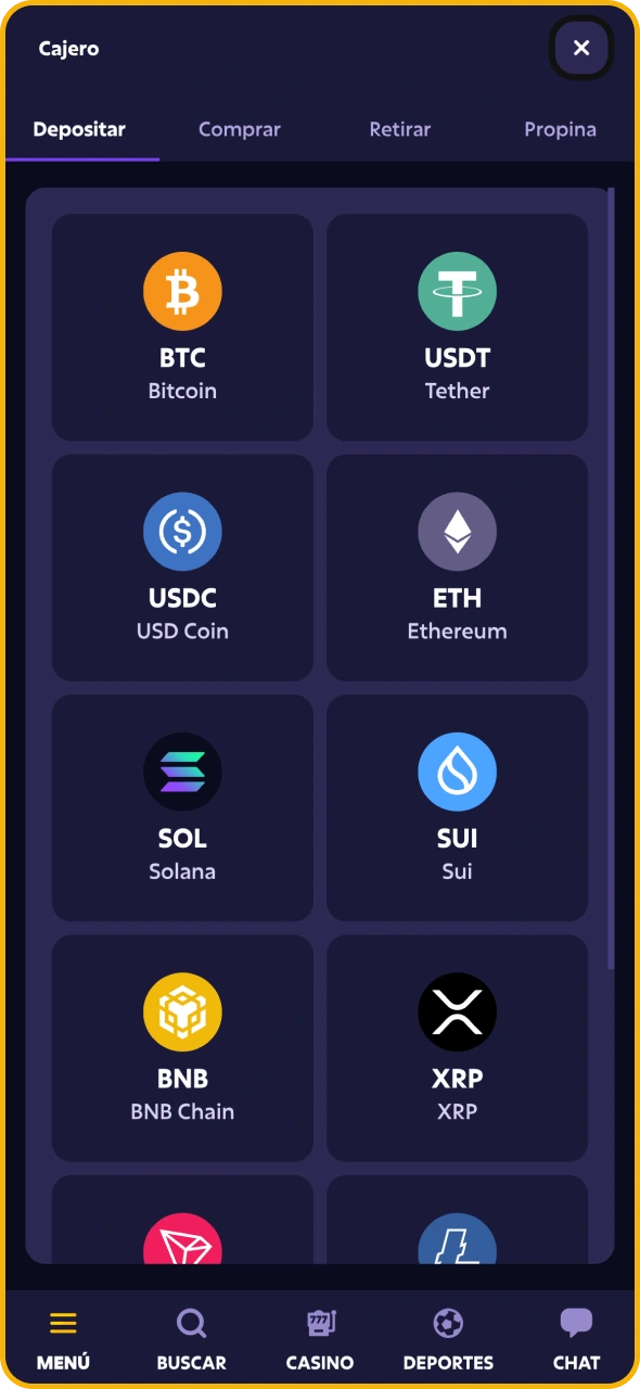 Elige tu método de depósito preferido en Roobet.